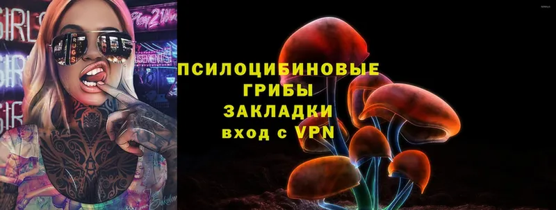 ОМГ ОМГ ссылка  Белинский  Галлюциногенные грибы Psilocybine cubensis 